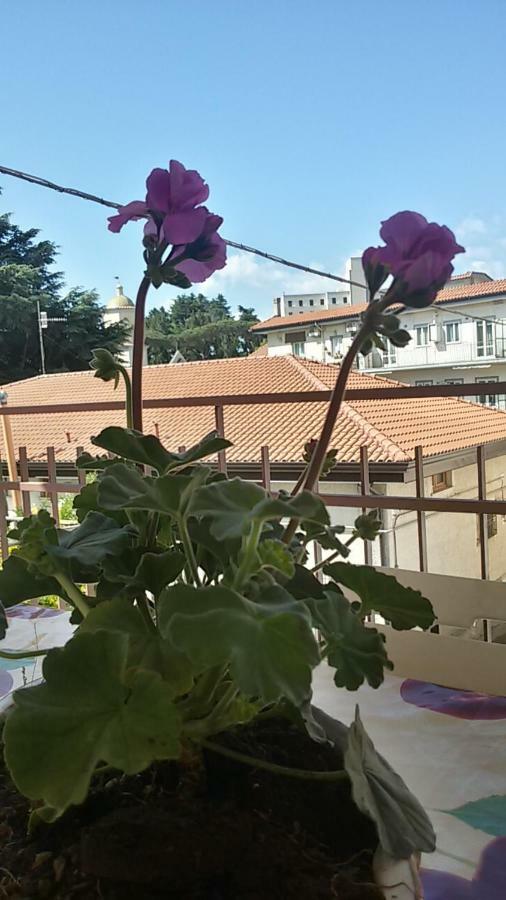 Casa Vacanza Xenia Βίλα Agerola Εξωτερικό φωτογραφία